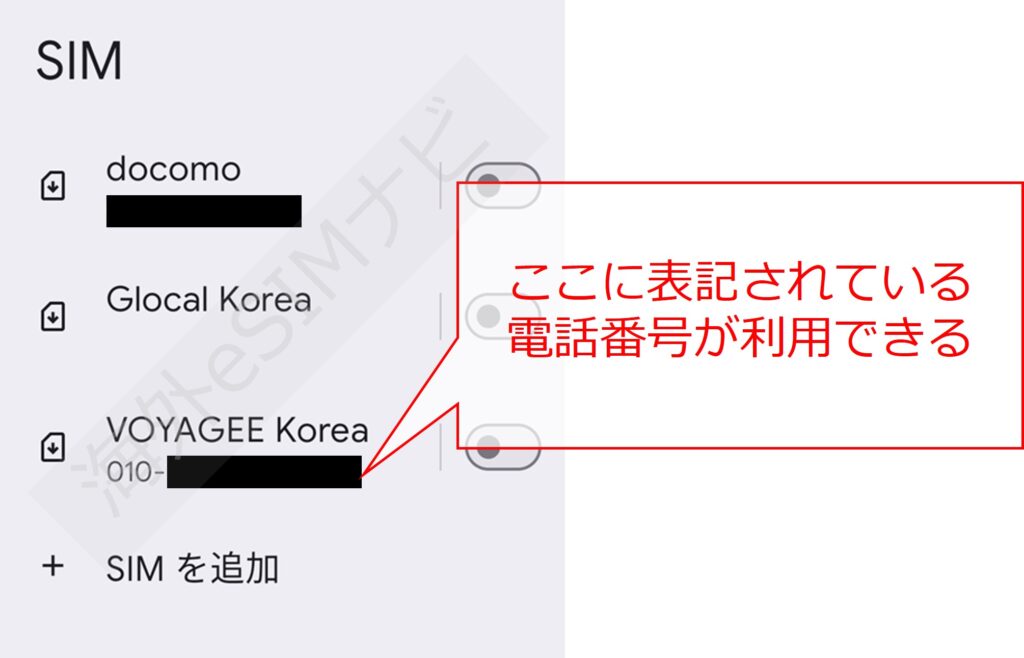 VOYAGEESIMを韓国で使ってみた